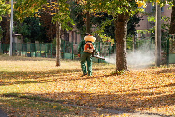 Pest Control Cost in Higganum, CT